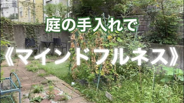 庭の手入れで《マインドフルネス》