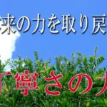 【誘導瞑想】本来の力を取り戻す『丁寧さの力』