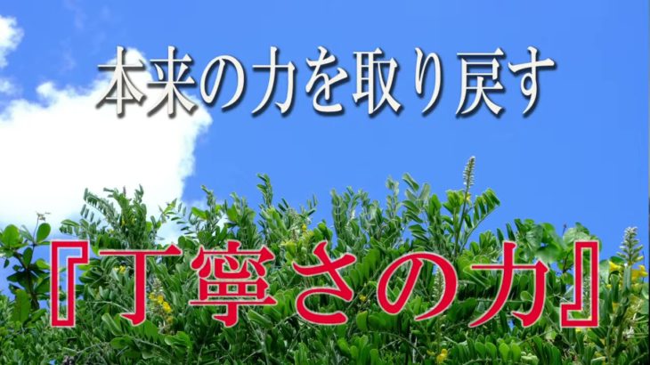 【誘導瞑想】本来の力を取り戻す『丁寧さの力』
