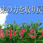 【誘導瞑想】本来の力を取り戻す『集中する力』