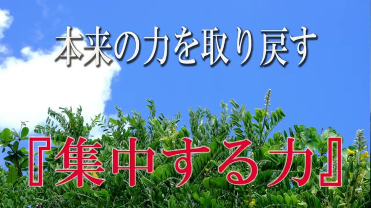 【誘導瞑想】本来の力を取り戻す『集中する力』