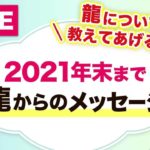 【龍について教えてあげるよ】年末へ 龍からの重要メッセージ