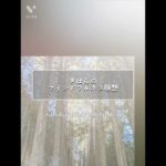 きほんの【マインドフルネス瞑想】