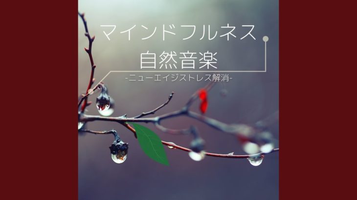 マインドフルネス座禅ＢＧＭ