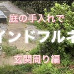 庭の手入れで《マインドフルネス》　玄関周り編