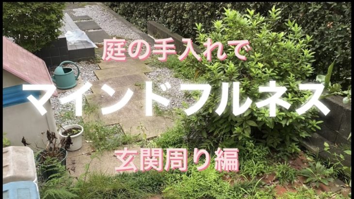 庭の手入れで《マインドフルネス》　玄関周り編