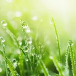 [リラックスした音楽]癒しの瞑想の音楽連続リスニング心和む音楽ストレス解消音楽弛緩効果がある音楽就寝時聞く音楽リラクゼーションのための瞑想音楽の連続リスニング