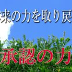 【誘導瞑想】本来の力を取り戻す『承認の力』