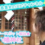 【パワースポットツアー】八幡神社【スピリチュアル】