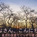 【睡眠紹介】静かな瞑想音楽で癒し、質の高い睡眠をお届けします。 睡眠を導入し、ストレスを和らげ、聞くときの疲労を回復します