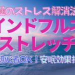マインドフルネスストレッチ！心と体の安らぎ！体を心地よく伸ばし、心を今ここに集中させる！ストレス解消と安眠効果抜群！初心者から簡単！