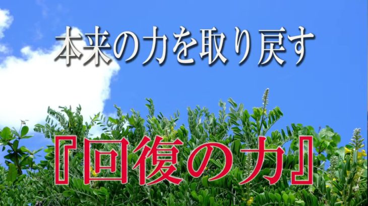 【誘導瞑想】本来の力を取り戻す『回復の力』