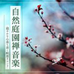 心のヒーリング瞑想音楽