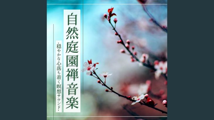 心のヒーリング瞑想音楽