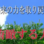 【誘導瞑想】本来の力を取り戻す『俯瞰する力』