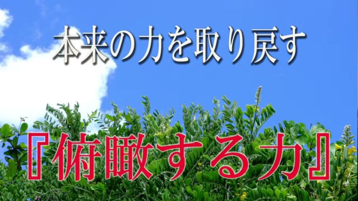 【誘導瞑想】本来の力を取り戻す『俯瞰する力』