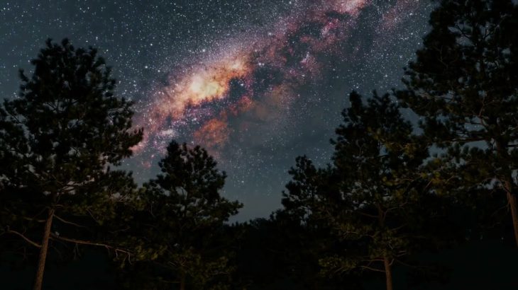 眠れない夜に聴きたい癒しの音楽。 深い睡眠効果でリラックスしてよく眠ります。