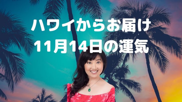 11月14日の運気／ハワイのスピリチュアルカウンセラーエリー