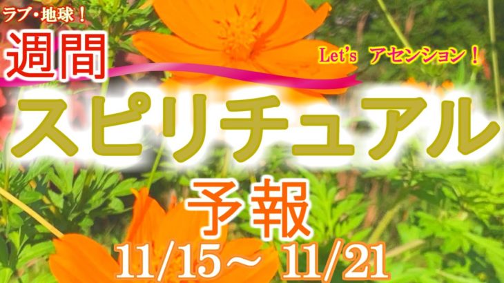 エネルギーに敏感な人のための週間スピリチュアルエネルギー予報11/15(月)～11/21(日)