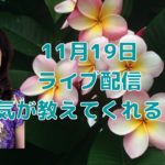 11月19日ライブ配信／ハワイのスピリチュアルカウンセラーエリー／病気が教えてくれること