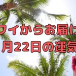 11月22日の運気／ハワイのスピリチュアルカウンセラーエリー