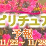 エネルギーに敏感な人のための週間スピリチュアルエネルギー予報11/22(月)～11/28(日)