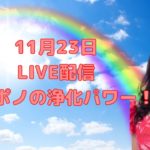 11月23日ライブ配信／ハワイのスピリチュアルカウンセラーエリー