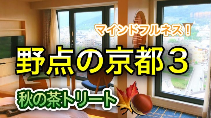 【お茶旅】野点の京都3〜マインドフルネス茶トリート〜(茶遊人まさよさまー！第92回)