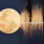 【睡眠・528Hz・癒し】心身に響く優しく切ない瞑想音楽にソルフェジオ周波数が融合…壊れたDNA、細胞を修復しながら脳と身体を熟睡へ導き濃縮した睡眠の時間を…【長時間Ver】