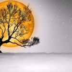 本当に眠れる【睡眠BGM】癒し・リラックス・快眠