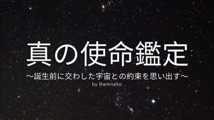 【公式】ココナラ　出品サービス　「真の使命鑑定」　CM　宇宙チャネラー　スピリチュアル・ヒーラー　Ramneko　らむねこ　ラムネコ