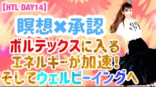 【HTL DAY14】⭐️瞑想×承認⭐️でボルテックスに入るエネルギーが加速そしてウェルビーイングへ！
