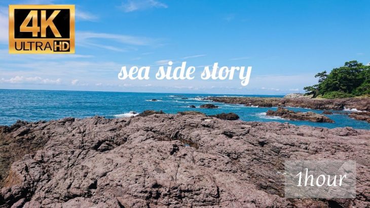 Let’s Chill！！癒しの自然　波音　リラックス　1時間（勉強・睡眠・瞑想・ヨガ・作業用）4K映像