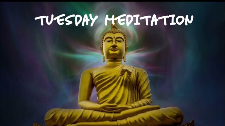 【火曜瞑想】癒しの２０分瞑想／勉強用、睡眠用、作業用、心安らぐ音楽／Meditation Sound/