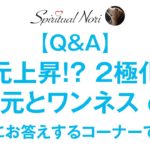 【Q＆A】２極化？目覚め？次元上昇？非二元（ノンデュアリティ）とワンネス？質問にお答えするコーナーです☆