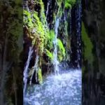 ピアノの音と小川の優しい音、癒しの瞑想 #Shorts