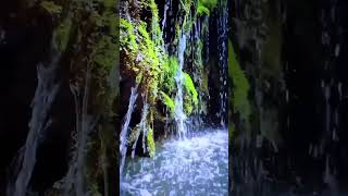 ピアノの音と小川の優しい音、癒しの瞑想 #Shorts