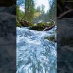 ピアノの音と小川の優しい音、癒しの瞑想#Shorts