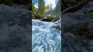 ピアノの音と小川の優しい音、癒しの瞑想#Shorts