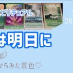 【涙は明日に】音楽×スピリチュアル《feeling》表と裏からみた景色💗オラクルタロットリーディング💗Vol.572  2021/11/8