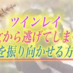 【スピリチュアル】ツインレイのチェイサーってどんな役割なの？どうすれば彼は振り向いてくれるの？