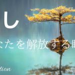 【インナーチャイルドの癒し誘導瞑想】許しを与える