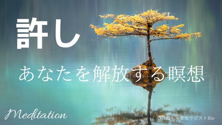 【インナーチャイルドの癒し誘導瞑想】許しを与える