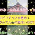 スピリチュアル散歩🚶‍♀️ちんでん🚃の旅はいかが⁉️大阪🐙堺市🕸高須神社様へ🌟御参拝❣️そこには…沢山の神様がいらっしゃいます🌸