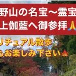 スピリチュアル散歩🚶‍♀️🌟高野山の名宝〜霊宝館＆壇上伽藍へ御参拝❣️