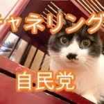 チャネリング　自民党
