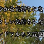 【マインドフルネス五感瞑想】【香りの瞑想】　穏やかな気持ちになる。　清々しい気持ちになる。
