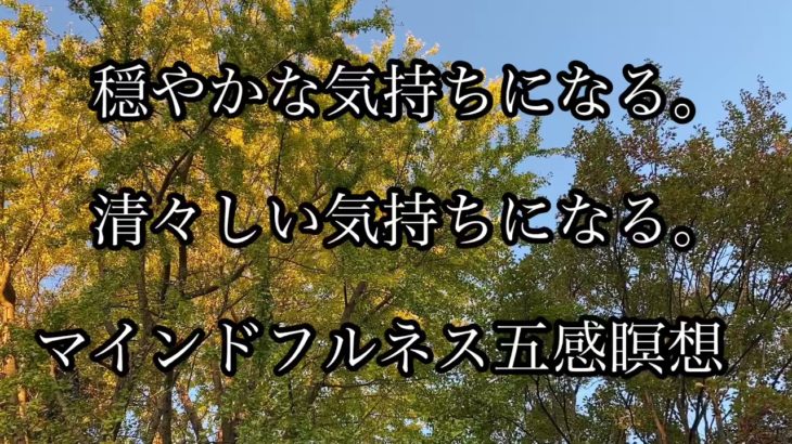 【マインドフルネス五感瞑想】【香りの瞑想】　穏やかな気持ちになる。　清々しい気持ちになる。