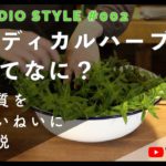 第２回　メディカルハーブってなに？｜本質を丁寧に解説｜#メディカルハーブ #アロマテラピー #ハーブティー #ハーブ #美容 #健康 #癒し #セルフケア #マインドフルネス #ラジオ