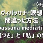 【瞑想難民向け】ヴィパッサナー（マインドフルネス）瞑想の誤解「気づき」と「私」の違い
